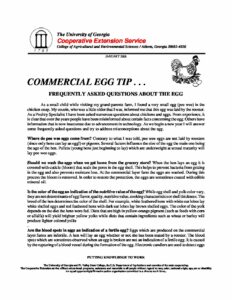 Frequently Asked Questions about the Egg