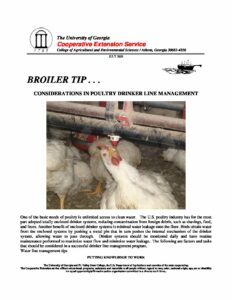 Considerations in Poultry Drinker Line Management