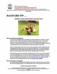 Frequently Asked Questions about Backyard Flocks